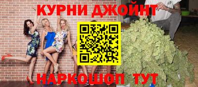 дживик Кингисепп