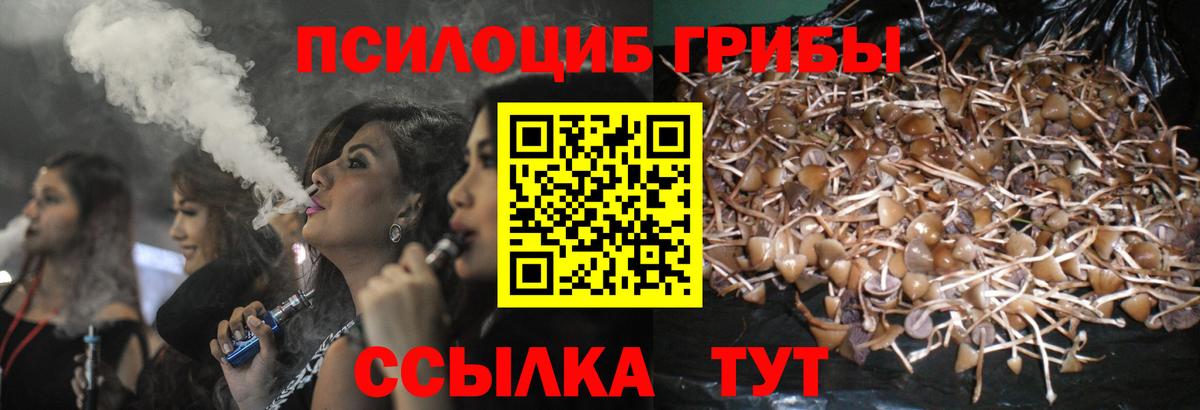 Псилоцибиновые грибы прущие грибы Красногорск