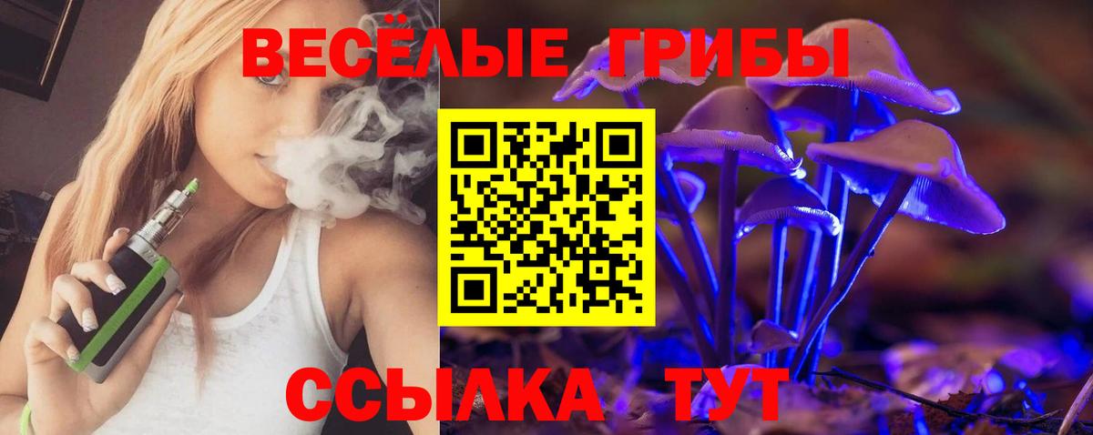 Галлюциногенные грибы мицелий  Вход с VPN  Красногорск 